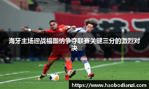 zoty中欧